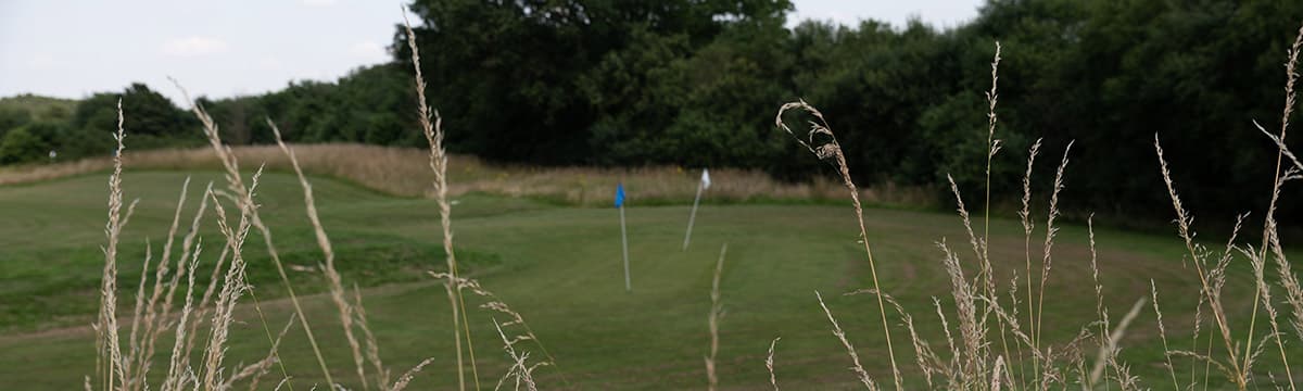 Seed heads in the foreground with a mown green beyond them, a blue flag and a white flag on it and a wood behind